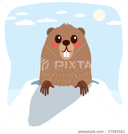 Groundhog Winter 37565561