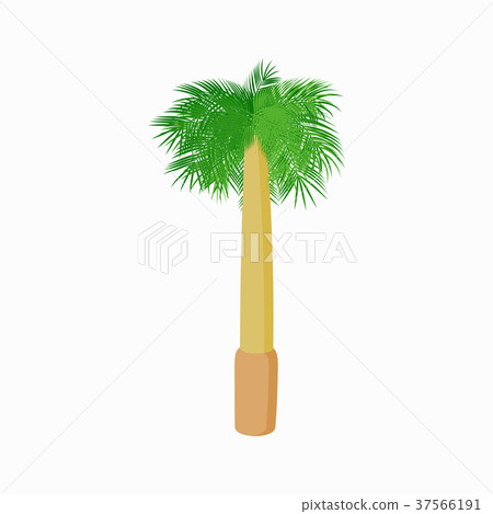 Royal palm icon, cartoon style Royal palm icon, cartoon style 37566191