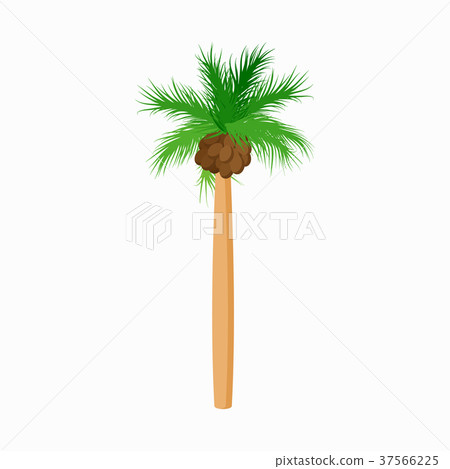 Cocos palm tree icon, cartoon style 37566225