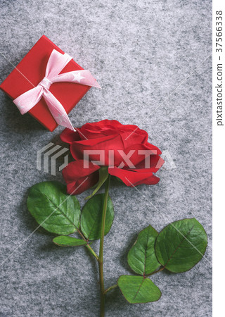 One red rose and a cute gift box One red rose and a cute gift box 37566338