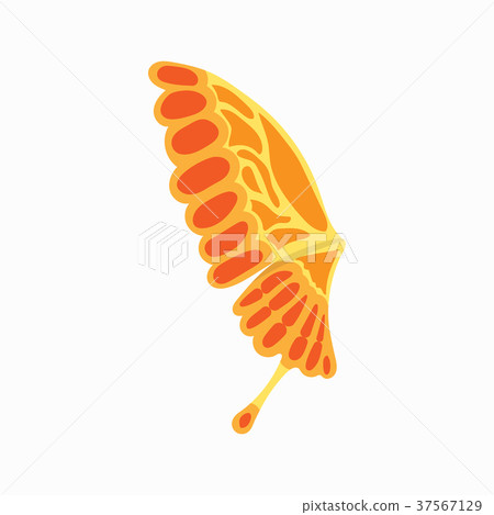 Brigth butterfly wing icon, cartoon style 37567129