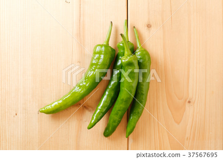 Sweet long bean sprout 37567695