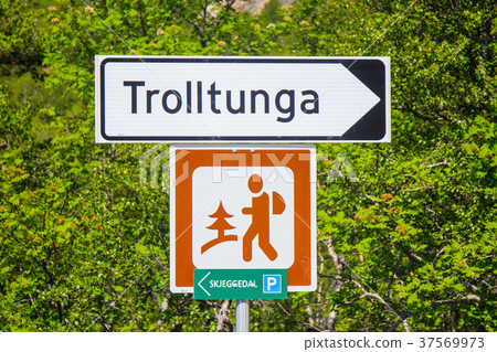The summer trip to Trolltunga, The Troll's tongue The summer trip to Trolltunga, The Troll's tongue 37569973