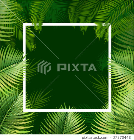 Frame from palm leaves on green background 37570448