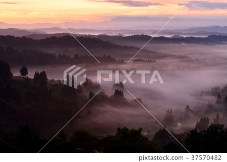 Star Pass Star Pass 37570482