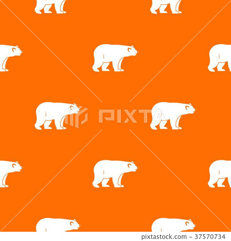 Wild bear pattern seamless 37570734