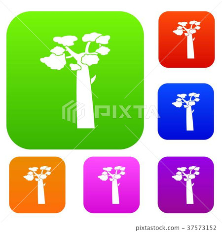 Baobab set color collection 37573152