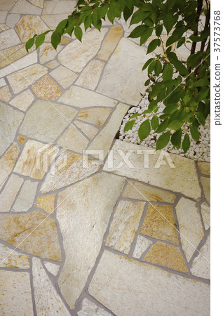 Outrageous Outrageous 37573768