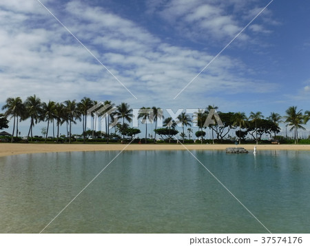  Hilton Hawaiian Village 37574176