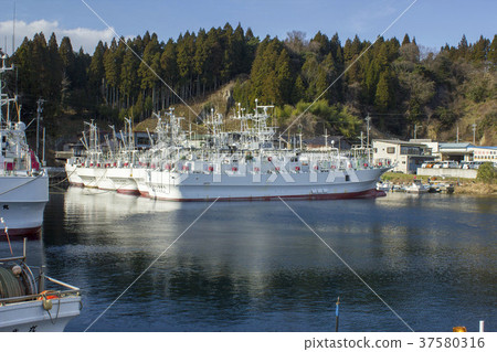 Squid fishing boat at Ogi Harbor 37580316