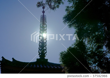 Looking back up against light-Kaiju Sanji Temple five-story pagoda 1 37582966