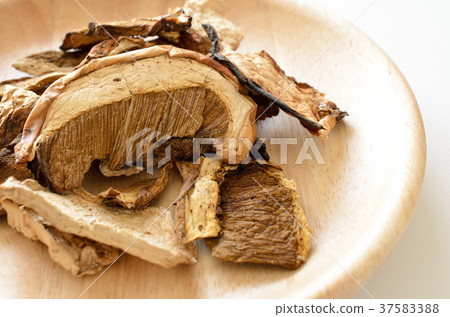 幹牛肝菌 37583388