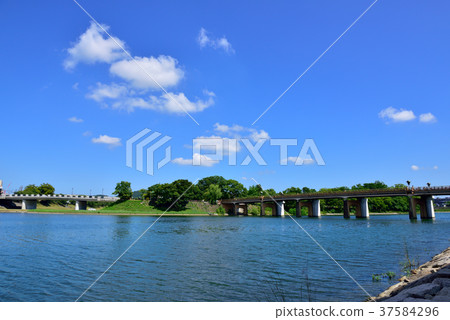 鶴見橋和椿橋/岡山後樂園附近（岡山縣岡山市） 37584296
