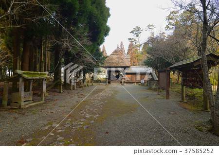 豐島K原神社 37585252