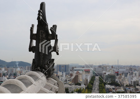 酒井瓷磚 酒井瓷磚 37585395