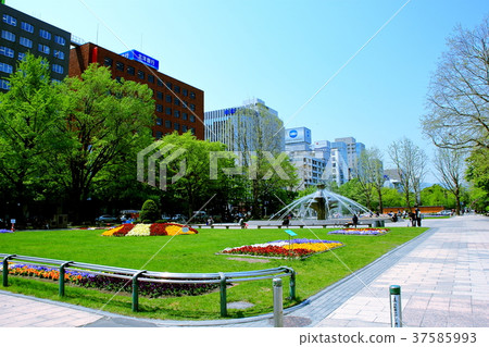 札幌春天大通公園 37585993