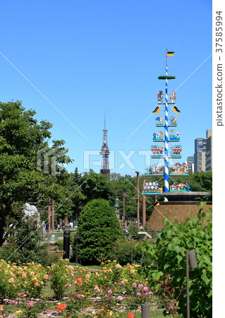 札幌春天大通公園 37585994