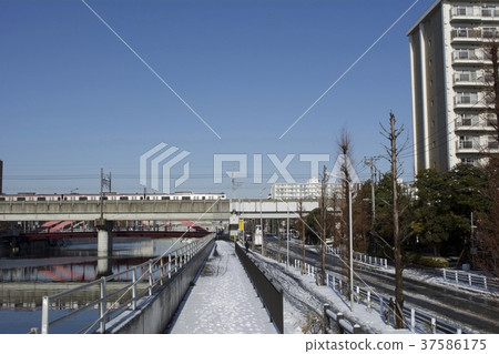 Urayasu January Snowfall 37586175