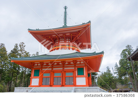 Koyasan Koyasan 37586308