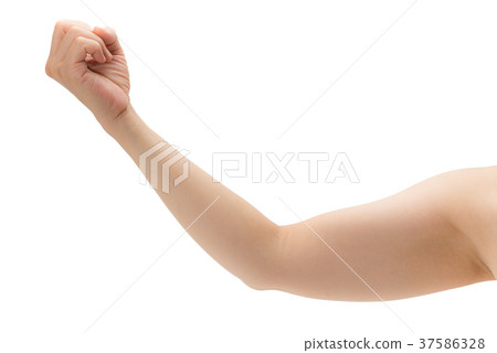 女人的手臂 37586328