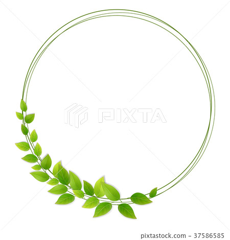 Wreath of fresh green leaves - Stock Illustration [37586585] - PIXTA