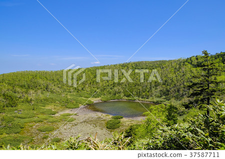 Hon Shirane Yamakoike 1 37587711