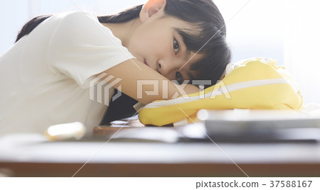 小學生放學後教室女孩 37588167