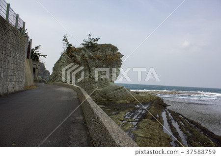 仁川海岸 37588759