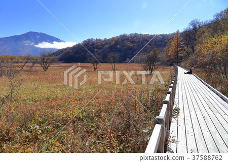 Oku Nikko Odashirohara Observatory (for Mt. Mantai) and wooden path in autumn 37588762