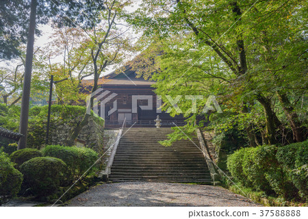 Miteiji(Sonjoji)寺廟的風景 Miteiji(Sonjoji)寺廟的風景 37588888