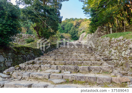 Azuchi Castle ruins A view of the main road Azuchi Castle ruins A view of the main road 37589043