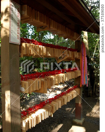 Oogami神社，婚姻的丈夫和妻子 37589080