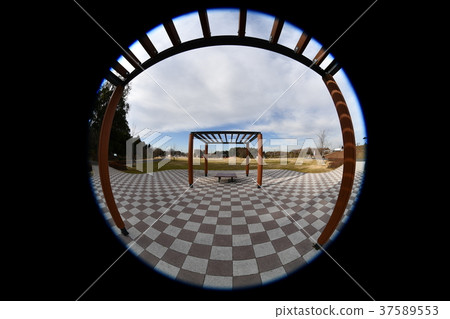 Park landscape 37589553