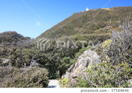 Muroto Cape Lighthouse and Upa Megashi and Akou Forest "Muroto Geopark" "50 Selected Lighthouses in Japan" "Modernization Industrial Heritage" (Kochi Prefecture) 37589646