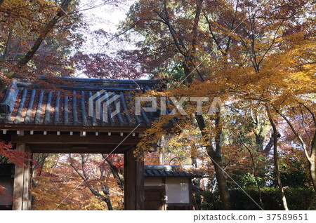 京都Nagaokakyo Koyaku-ji醫學院 37589651