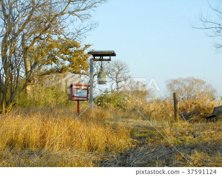 谷中村遺址 37591124