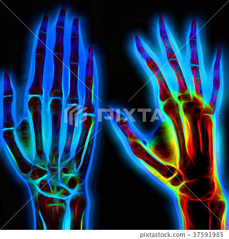 Human hand. Illustration Human hand. Illustration 37591985