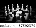 White Chess in Spotlight Surround on Chess Board 37592379
