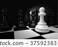 Close up of White Chess Battle with Black Chess  37592383