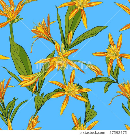 Flowers Lilies Seamless Flowers Lilies Seamless 37592575