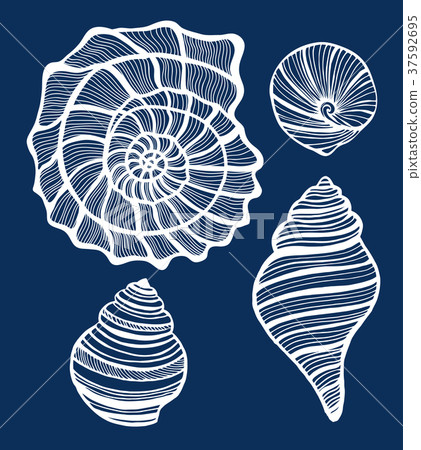 Set of Shells in Hand Drawn Style Set of Shells in Hand Drawn Style 37592695