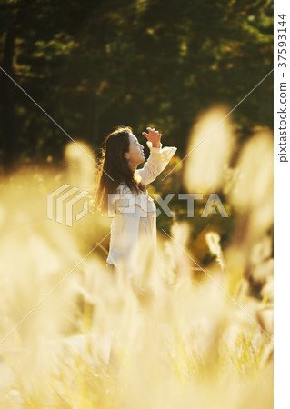 年輕的女人 37593144