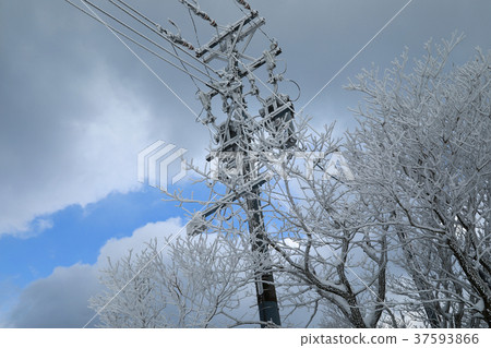 Gozaishodake(三重縣)的電桿和雪花,雪景 Gozaishodake(三重縣)的電桿和雪花,雪景 37593866