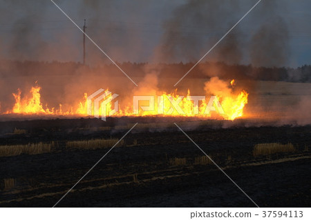 dry field burning flame dry field burning flame 37594113
