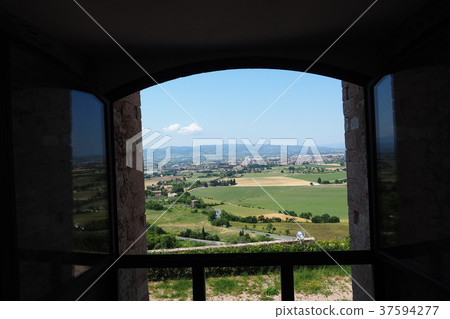 Garden through the window 37594277