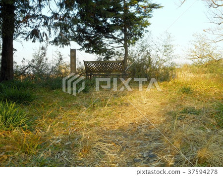 Taninaka村莊遺址Raiden神社廢墟 37594278