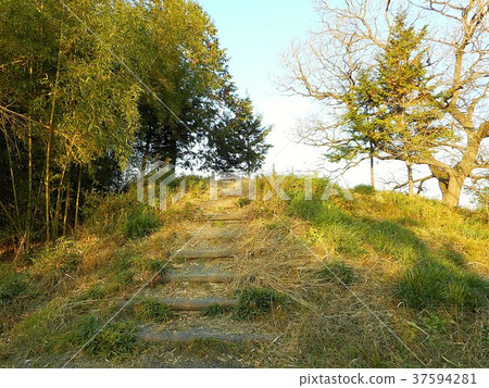 Taninaka村莊遺址Raiden神社廢墟 37594281