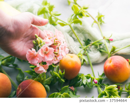 Fresh summer fruit concept still life Fresh summer fruit concept still life 37594664