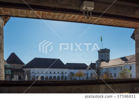 秋天 秋 深秋 37596831