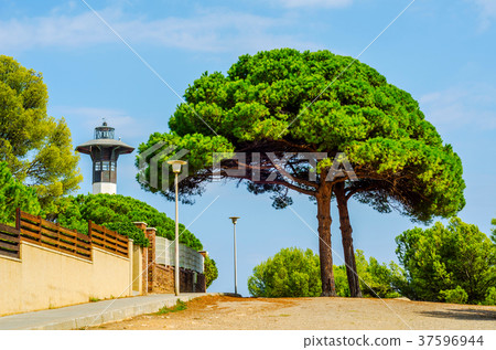 Lighthouse tower and blue summer sky 37596944